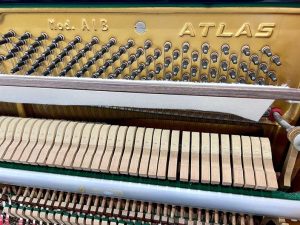 2c862a4de74c24127d5d