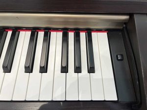 6fac3f3b5fad9ff3c6bc