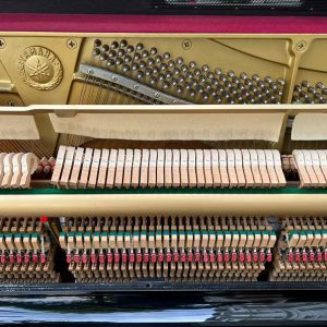 9b17837c48e988b7d1f8