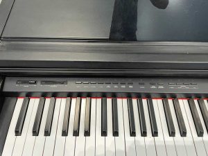 a1a01dc9858046de1f91