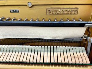 cbd62d01ab10684e3101 1