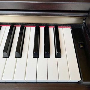 70a1a82db503775d2e12