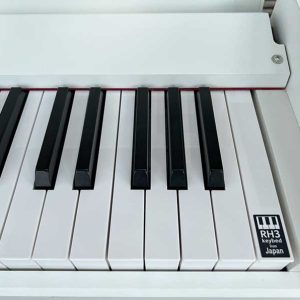 c67cf41759429b1cc253