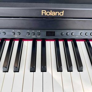 e504cb3e5ec59c9bc5d4