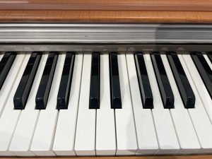 4651d264429b84c5dd8a