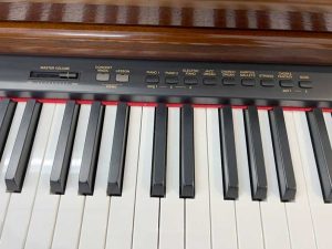 ed7ee5ce856742391b76 1