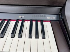 9282e38c9313494d1002