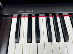 cb897eb895624f3c1673