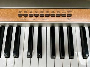 e8d32c6be88d32d36b9c