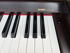 51d63ff535e9e8b7b1f8