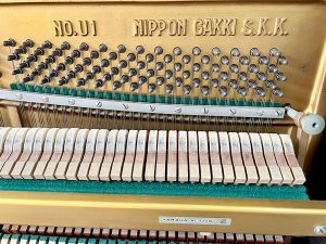 553e12bec8dd14834dcc