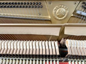 1909c47ccb70172e4e61