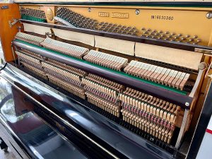 26c12d7acf9c13c24a8d