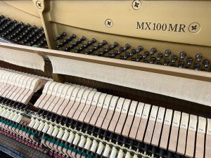 8b878ae385ef59b100fe