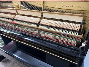 a6c86ca563a9bff7e6b8