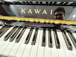 ebe2728bd06d0c33557c