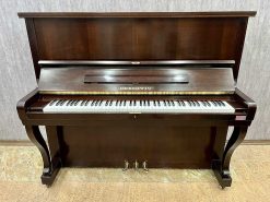 Piano Cơ Gershwin No500C