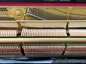 9b17837c48e988b7d1f8