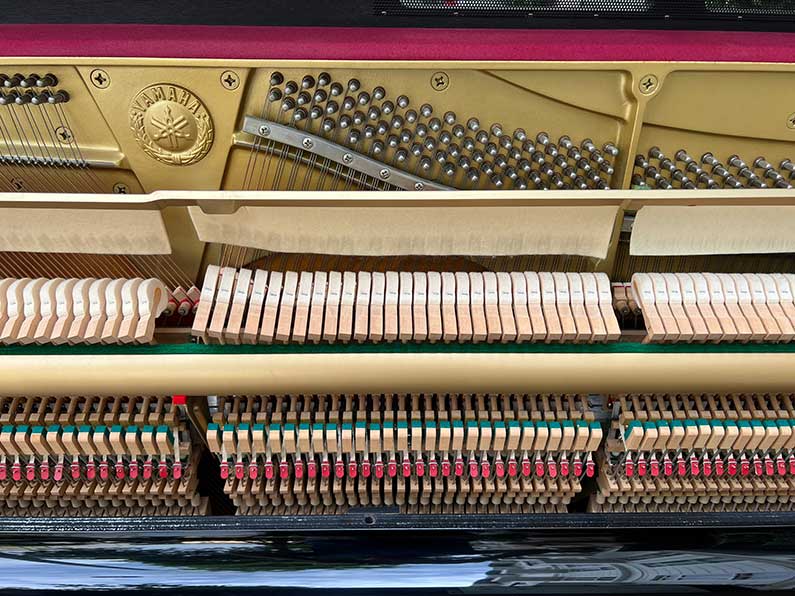 9b17837c48e988b7d1f8